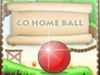 Go Home Ball - 1 